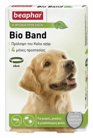 Bio Band