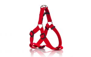 STANDARD HARNESS TYPE A