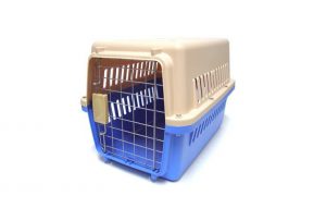 ULYSSES1 PLASTIC CARRIER GREEN