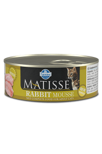MATISSE MOUSSE RABBIT