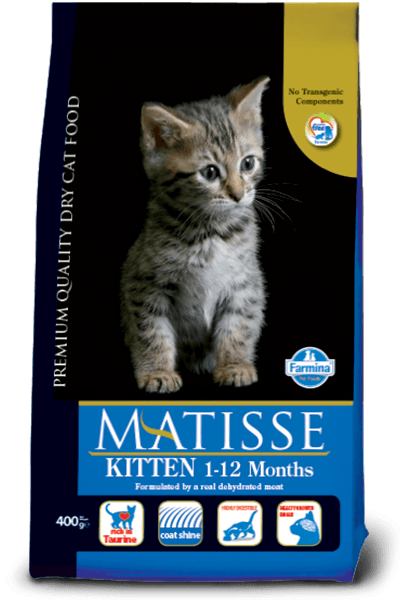 MATISSE KITTEN 1-12 MONTHS 400gr