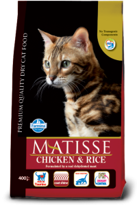 matisse chicken rice@web