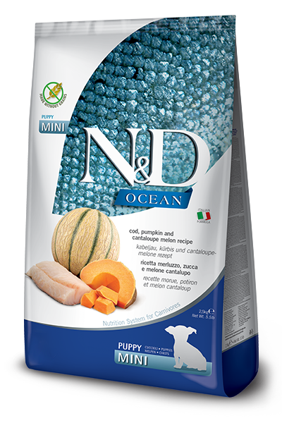 704 46 nd ocean puppy mini cod melon pumpkin