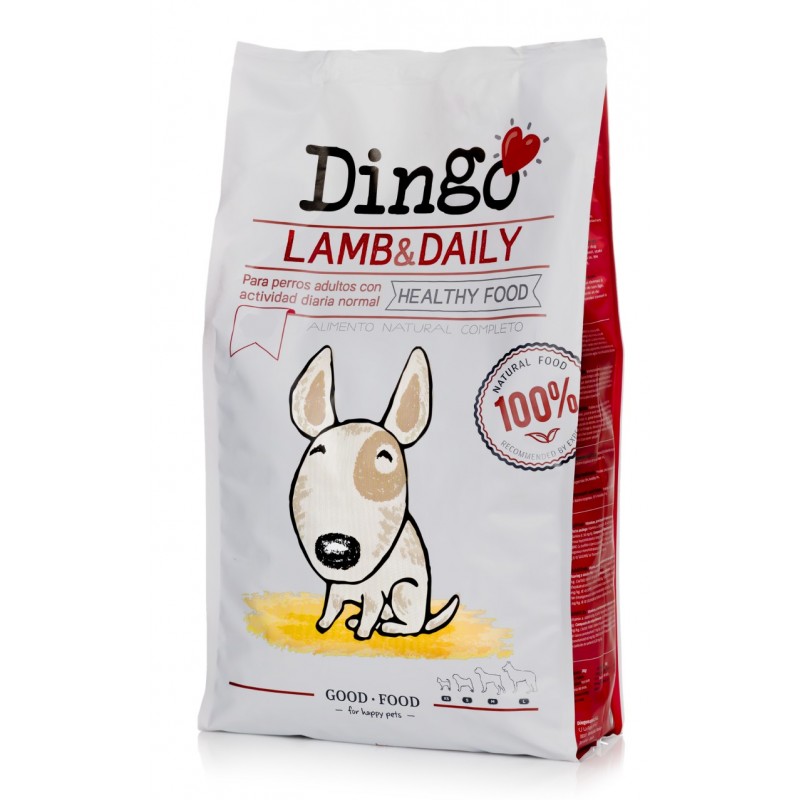 Dingo Lamb Daily 800x800h