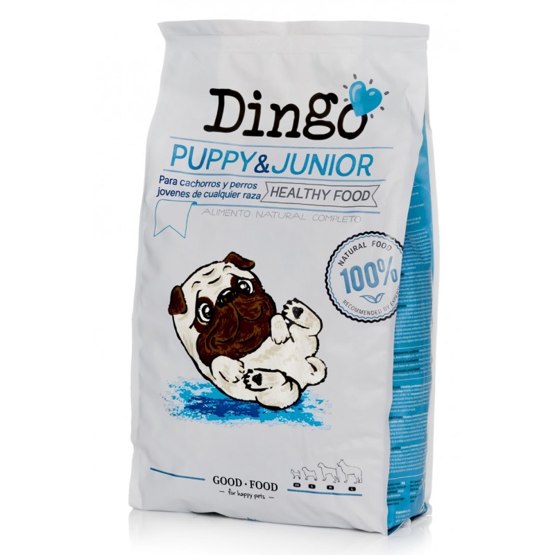 Dingo Puppy Junior 800x800h