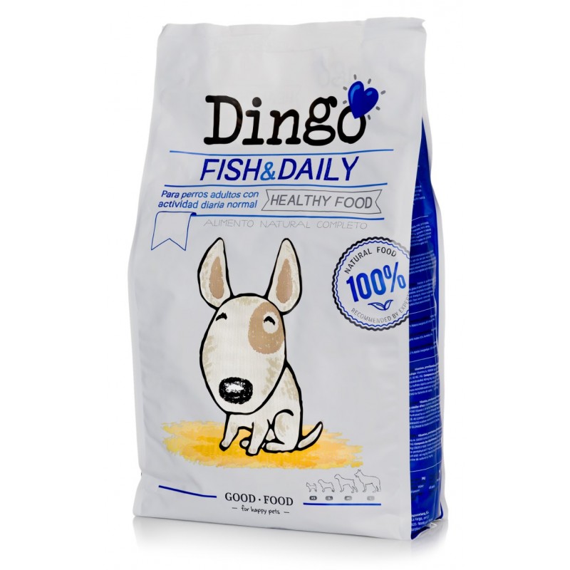 Dingo Fish Daily 800x800h