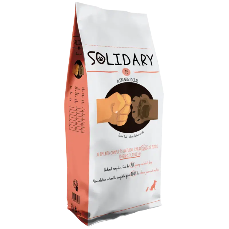 SOLIDARY 26 Trans 800x800h