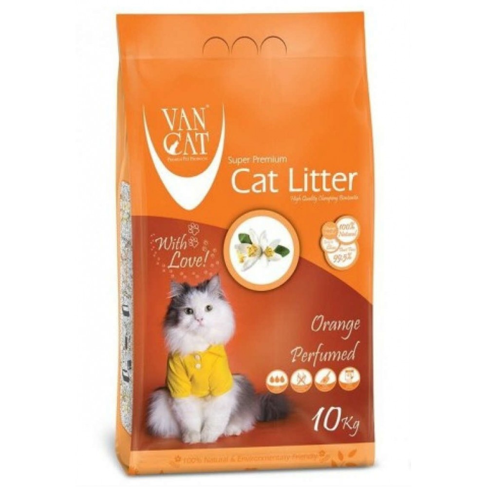 Van Cat Orange 1000x1000h