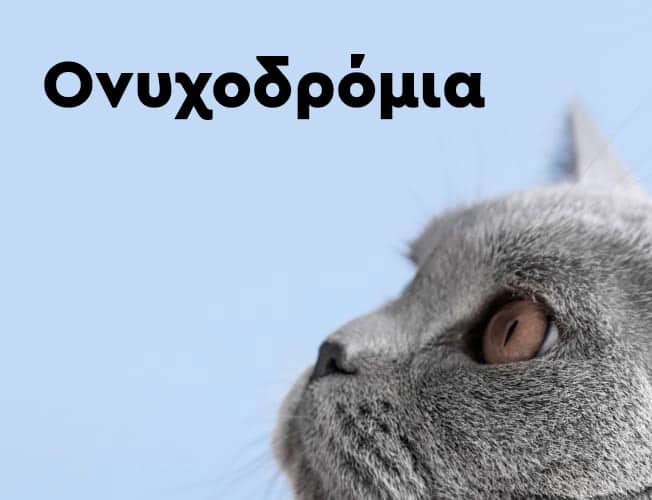 Pet Shop θεσσαλονικη ανατολικη