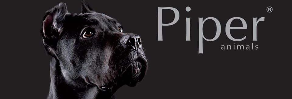 Piper Υγρη Τροφη Σκυλου