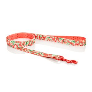 Smycz Miejska Dla Psa Hauever Lead For Dog Arbuzy Czerwony Watermelons Red Owoc Fruit