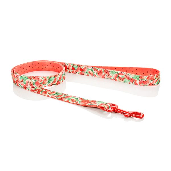 Smycz Miejska Dla Psa Hauever Lead For Dog Arbuzy Czerwony Watermelons Red Owoc Fruit