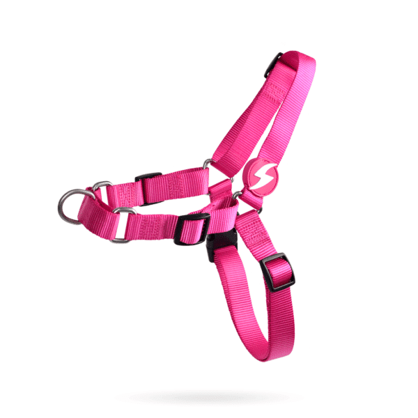 Solid Pink