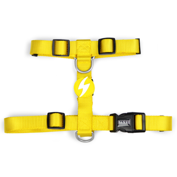 Yellow Harness