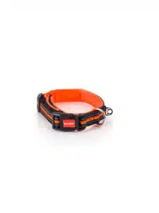 Fixedratio 20220803091824 Pet Interest Soft Neon Kolaro Skylou Se Portokali Chroma Large 25mm X 42 50cm