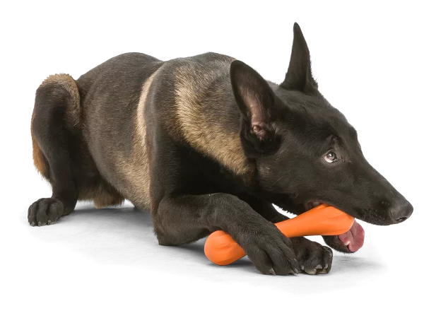 HURLEY TANGERINE DOG CHEWING