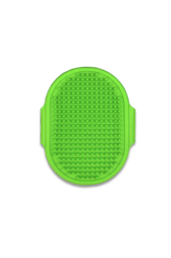 13. Pet Brush Green